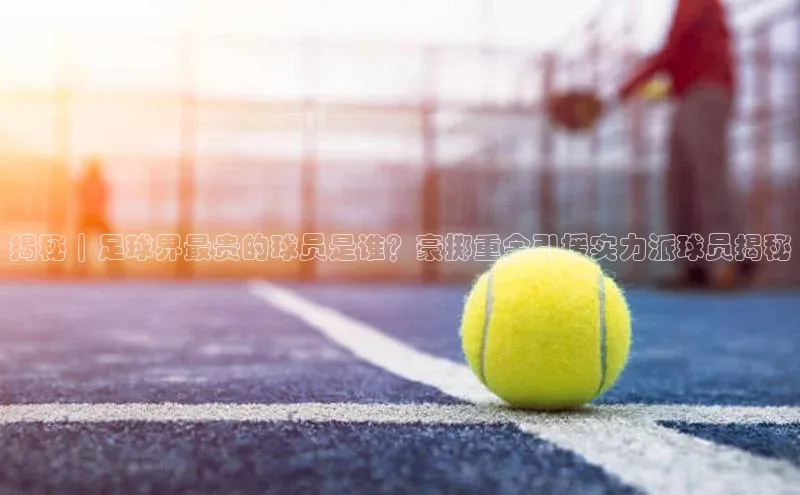 球盟会app入口小米