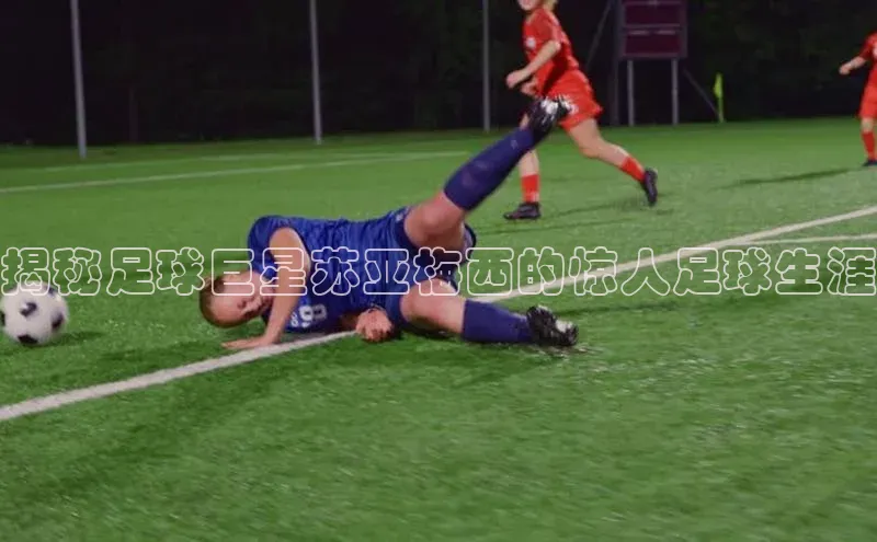 球盟会百度网盘