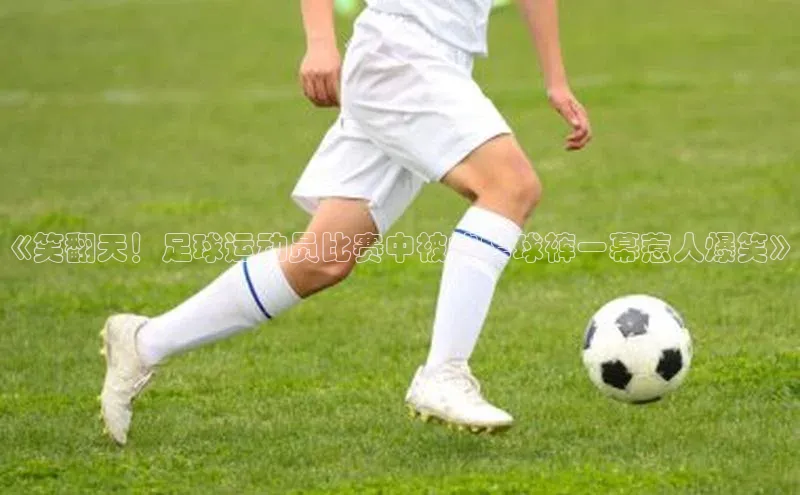 球盟会平台官网百度翻译