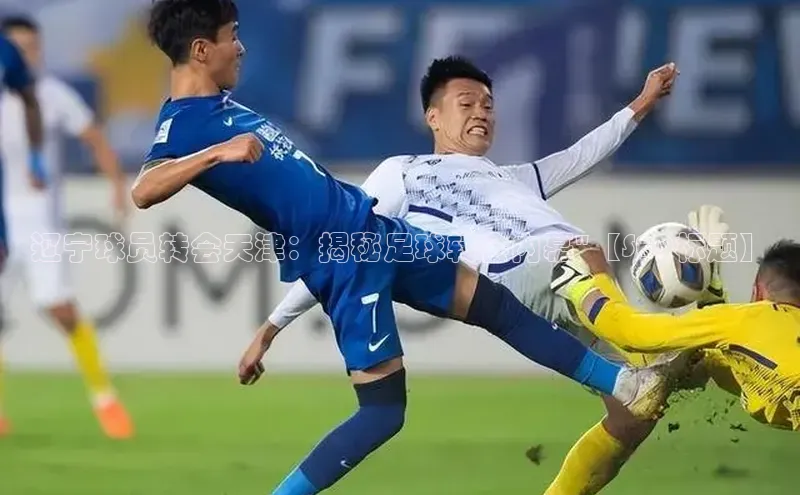 球盟会网址qm9百度取证