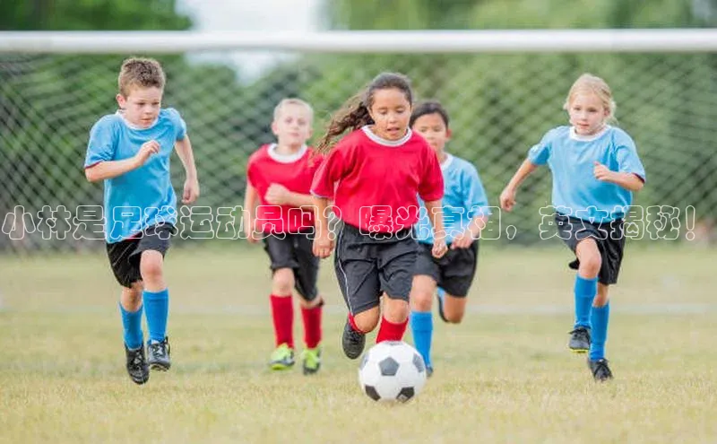 球盟会网页登录入口一径科技