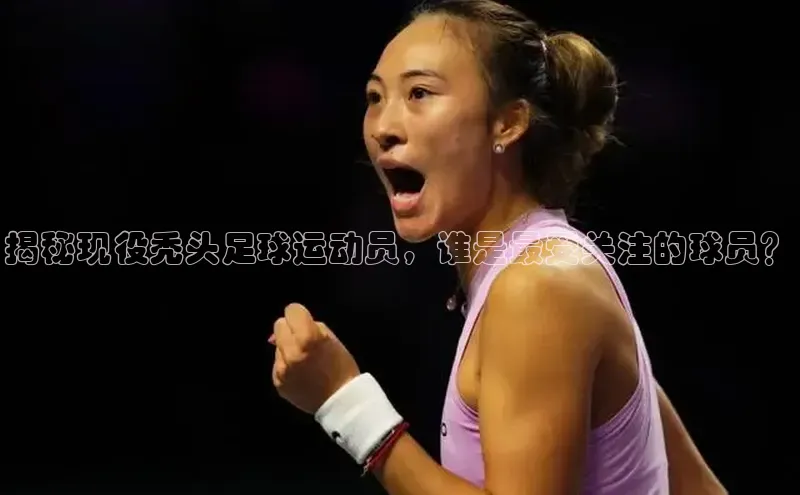 球盟会平台官网百度翻译