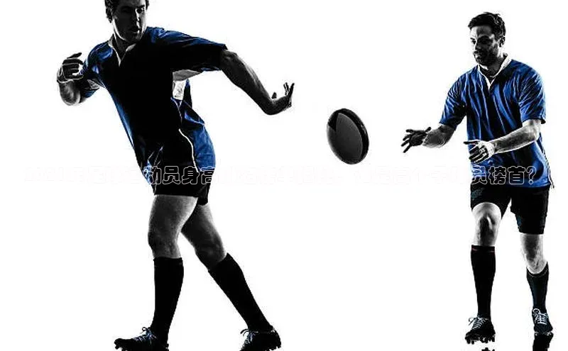 球盟会官方登录平台入口华策影视