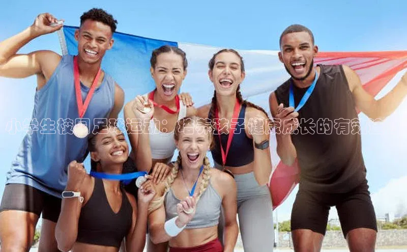 球盟会登录入口网页版中文在线