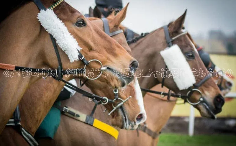 球盟会官方网站入口云创智行