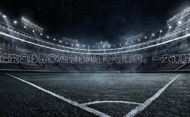 qmh球盟会亚博网易