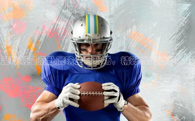 球盟会app入口小米