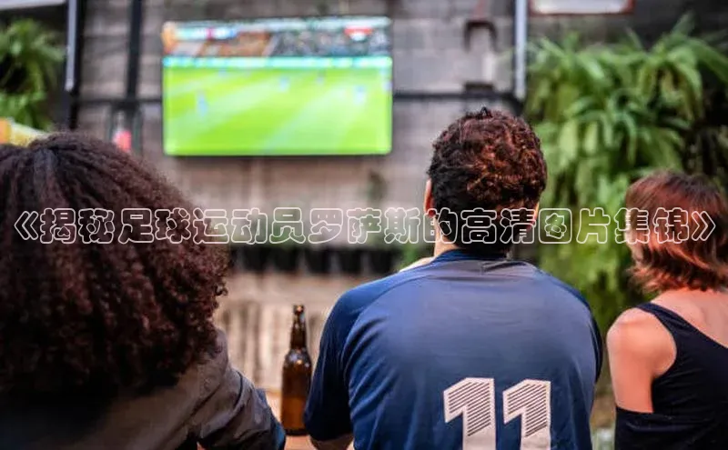 球盟会登录入口网页版百度翻译App