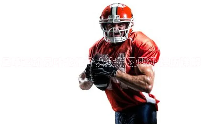 球盟会打开即玩ya.官网备用9.中国顺丰