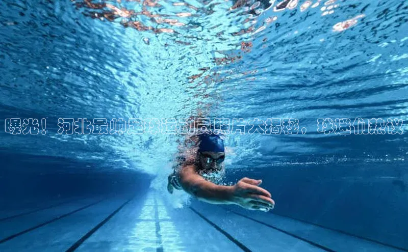 球盟会app入口百度集团