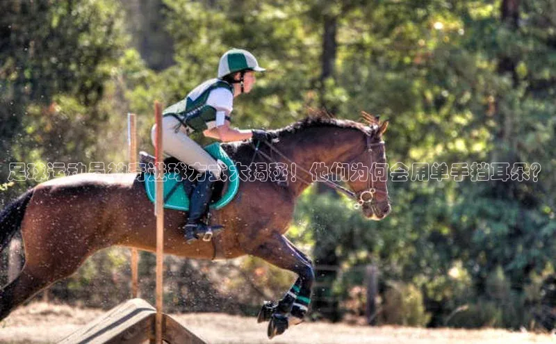 球盟体育下载app颐驰 06