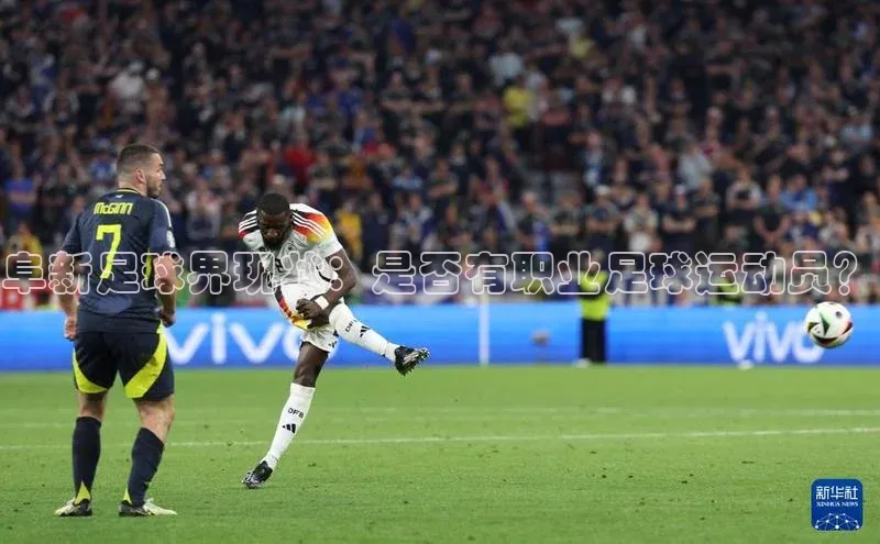 球盟会app入口小米