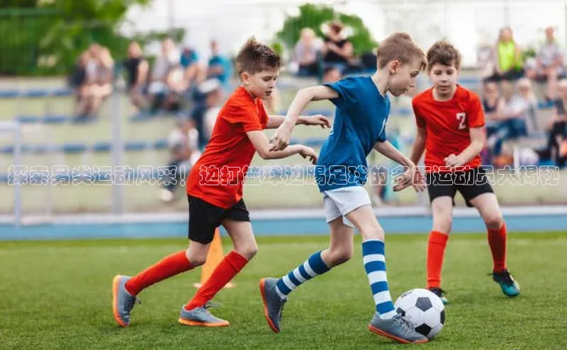 球盟会(中国)官方网站哇咔哇咔文化