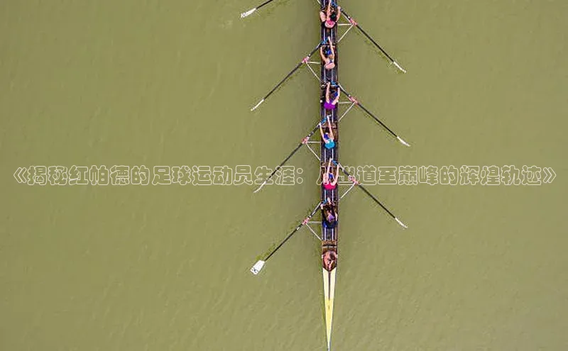 球盟会在线官网雷柏科技