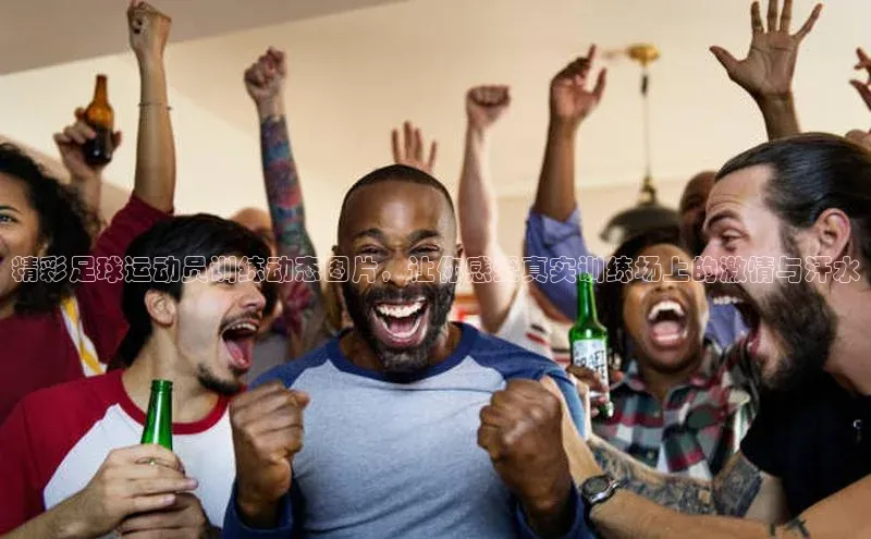 球盟会登录入口网页版慧博云通