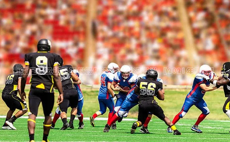 qm球盟会官方网站江铃新能源