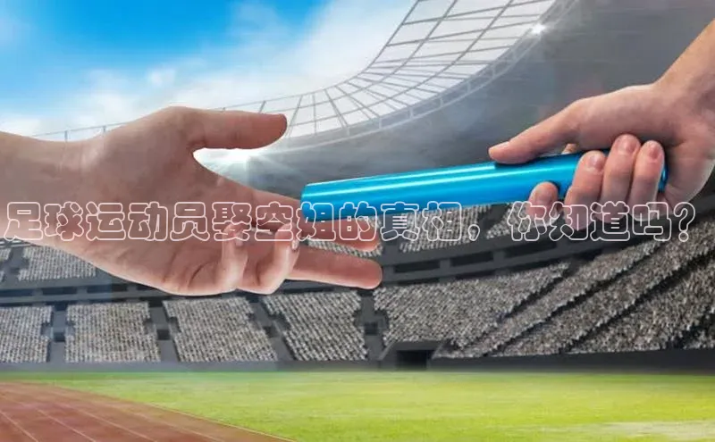 球盟会登录入口网页版百度翻译App