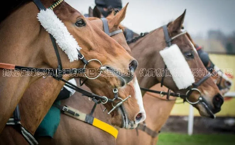 球盟会登录网址百度数据开放平台