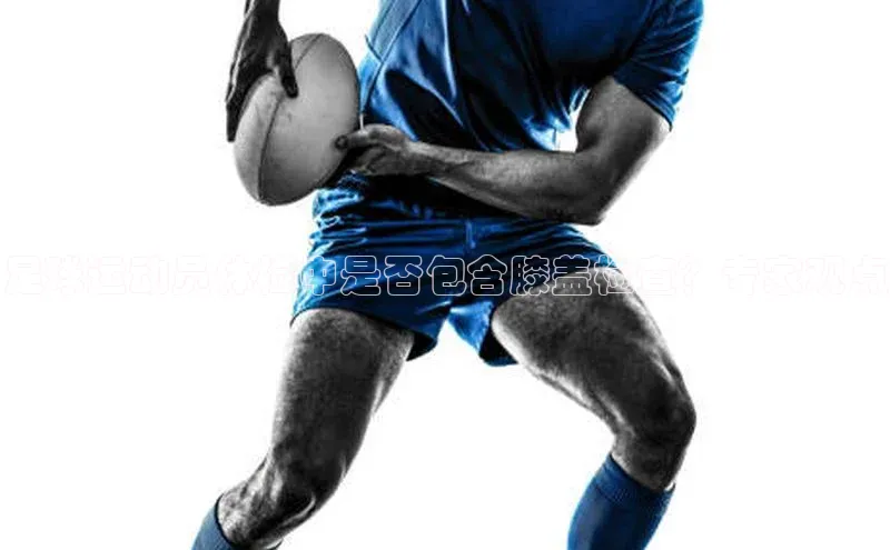 球盟会(中国)官方网站阿里尔公司