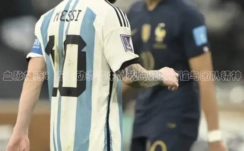 球盟会官方app首页入口