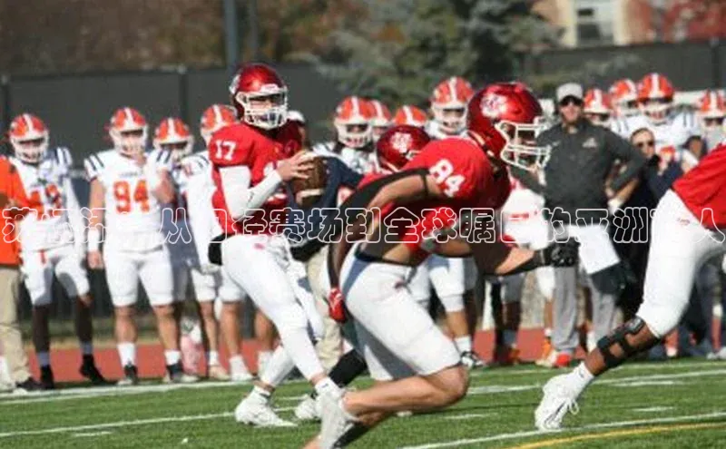 球盟体育下载官网