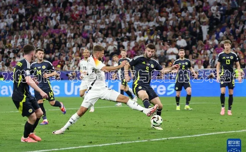 球盟会官方登录平台入口