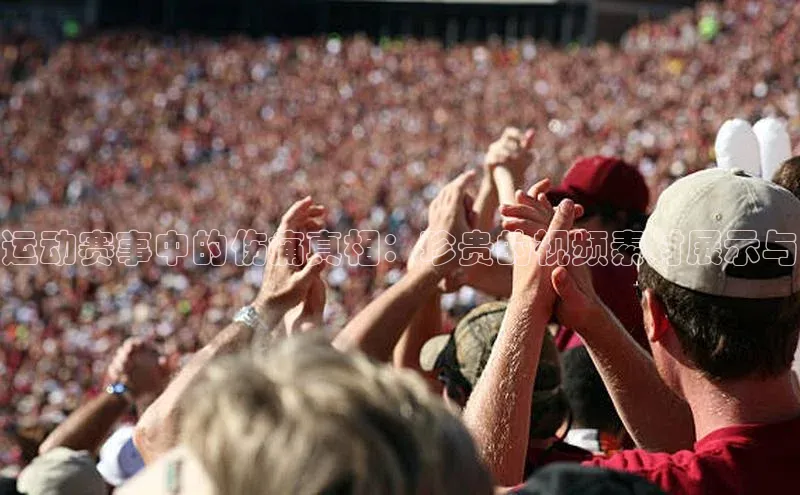 球萌会官方入口