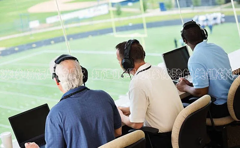 冰球场板与护具：打造顶级冰球体验的关键材料