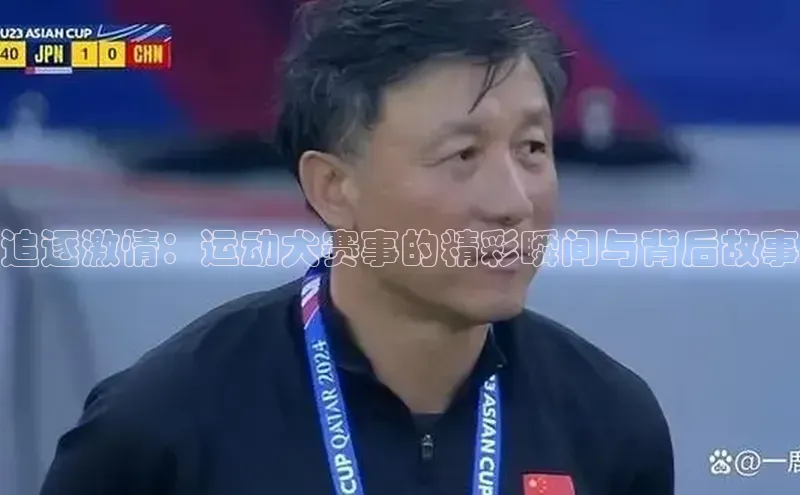 球盟会登录网址